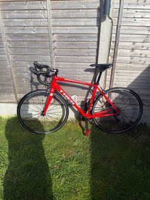 Trek Road Bike