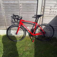 Trek Road Bike