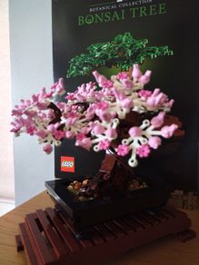 LEGO Botanical Collection 10281 Bonsai Tree