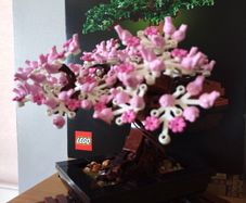 LEGO Botanical Collection 10281 Bonsai Tree