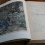Irish Fairy Tales, Illustrated By Arthur Rackham Stephens, James 1920 Image 2
