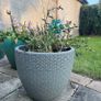 Medium Grey Earthenware Flower Pot- 2 available Image 2
