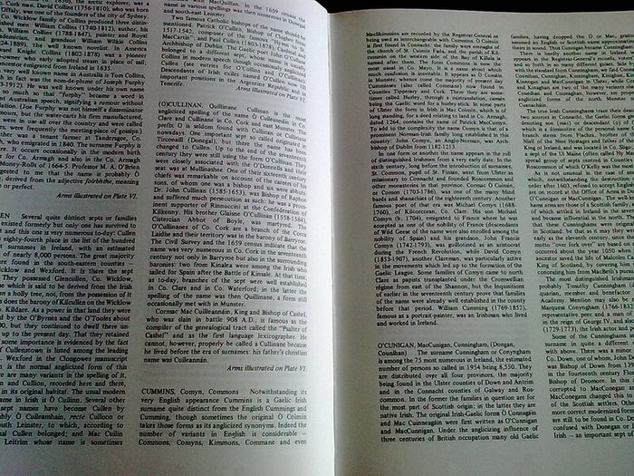 Irish Families Their names arms & origins Ireland Genealogy History