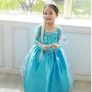 New Frozen Princess Elsa Fancy Costume With Accessories 3-4 Yrs Image 2