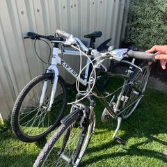 Mountain Bike For Sale