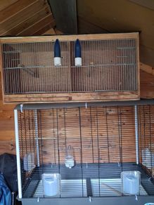 bird cages
