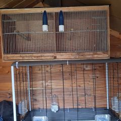 bird cages