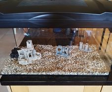 Fish tank