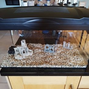 Fish tank