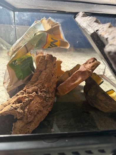 reptile tank