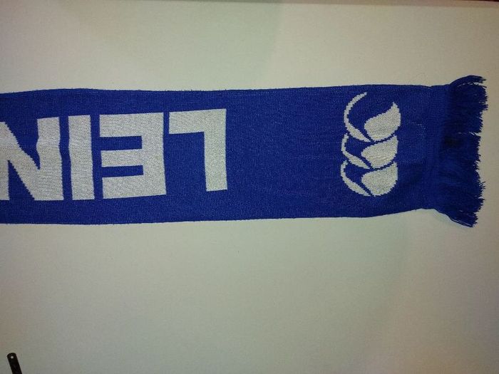 leinster rugby scarf