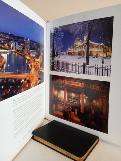 Ireland: A Luminous Beauty by Peter Harbison and Leslie Conron Carola (GT553)
