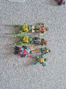 Teenage Mutant Ninja Turtles