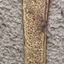brass letter opener Image 3