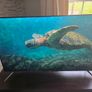 Q Led 50 inch  android 4k Smart TV Tcl Image 4