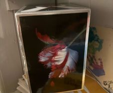 Collection Twilight 1st Edition Hard Cover