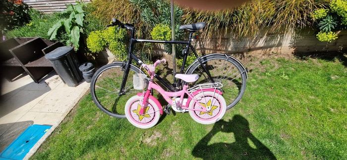 Adult and kids bikes
