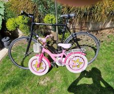 Adult and kids bikes