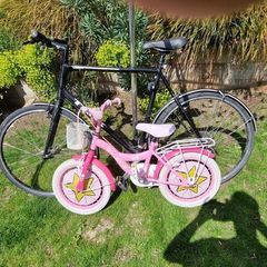 Adult and kids bikes