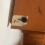 pair of bedside lockers Image 2