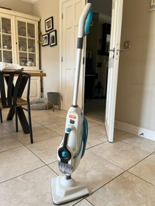 steam cleaner