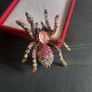 Tarantula Pink & White Sparkling Crystals Spider Brooch Shawl Pin Badge Image 6