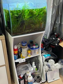 Fluval flex 57L with Stand
