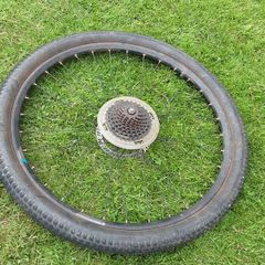 bicycle wheel