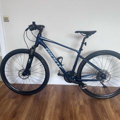 Giant Roam 1