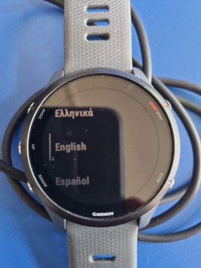 Garmin Forerunner 255