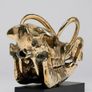 Wild Pig Skull (30cm) - Polished Bronze Image 6