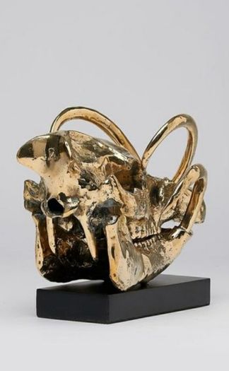 Wild Pig Skull (30cm) - Polished Bronze