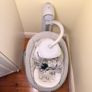 Joie Serina Swivel Baby Swing - Elephant Duo (Great Condition and Box) Image 5