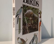 Birds by John Andrews