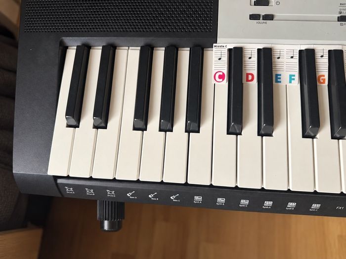 Casio CTK-1550 61-Key Electronic Keyboard + Adjustable Stand