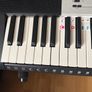 Casio CTK-1550 61-Key Electronic Keyboard + Adjustable Stand Image 4