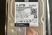 Western Digital WD4004FZWX 4TB SATA Hard Drive