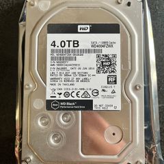Western Digital WD4004FZWX 4TB SATA Hard Drive