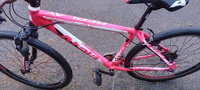 Bargin Mountain Bike