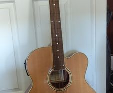 Fretless Bass guitar