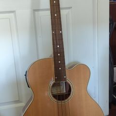 Fretless Bass guitar