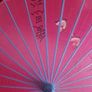 chinese parasol Image 4