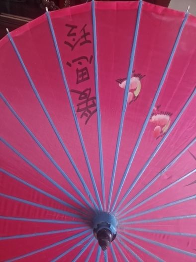 chinese parasol