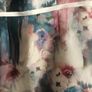 caroline Kilkenny mother of the bride dress Image 3