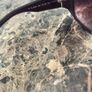 ralph lauren sun glasses Image 3