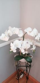 fake orchid