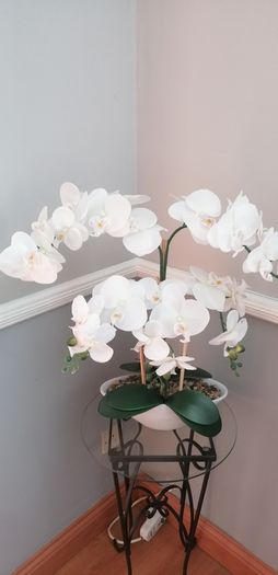 fake orchid