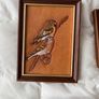 9 Leatherwork Birds by David Byrne Image 5
