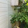 Ex pigeon loft Image 6