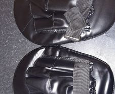 Boxing Pads